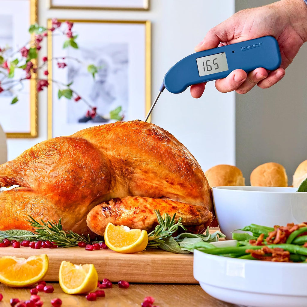 ThermoWorks Thermapen ONE in gray, inserted into a whole roasted turkey on a table