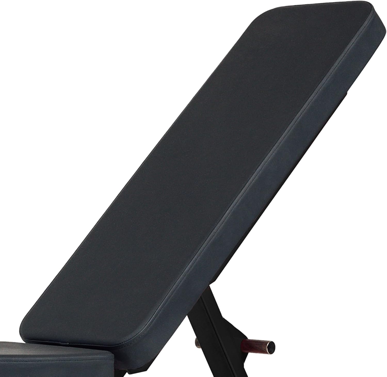 REP Fitness Nighthawk Adjustable Bench in Blue